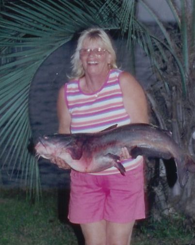 Angelfish55