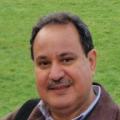 BADAWI