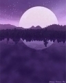 BloomingMoon