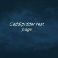 Caddipidder_Test_Page