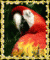 CaribbeanQueen