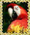 CaribbeanQueen