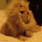 CatPeople