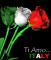 ComeBackFromItaly