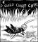 Cricket_Chirps1234