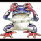DAFROG