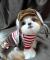 DARCIE_FOREVER