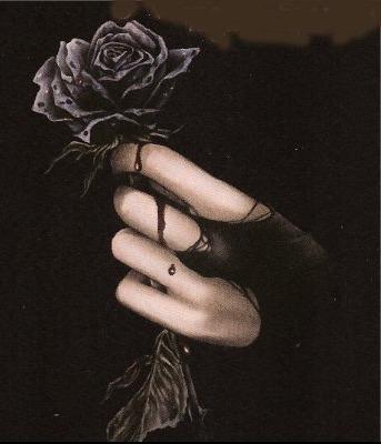 DARKESTROSE