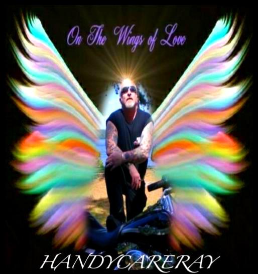 Handycareray