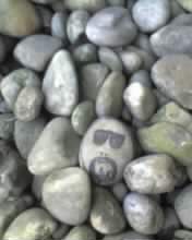 JTwho