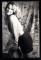 LadySunshine44