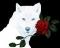 LadyWolf