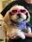 Lainie