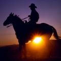 LonesomeCowboy