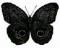 Mariposa_Negra