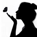 MinutePapillon