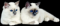 Mittens