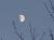 MoondustSky