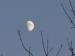 MoondustSky