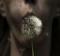 Mysticdreams