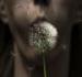 Mysticdreams