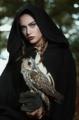 NightOwl1