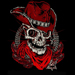 OutlawCowboy