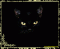 PURRsilla