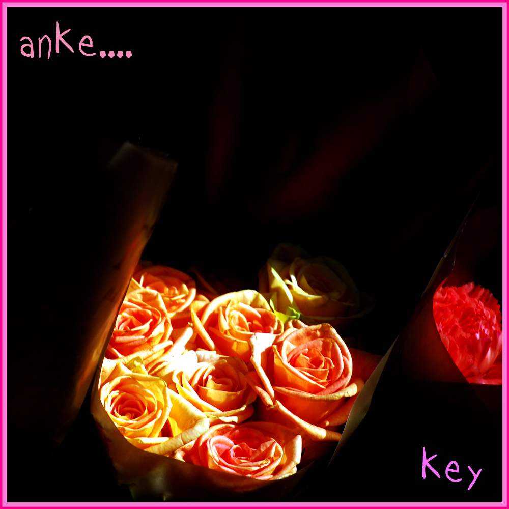 PrincessKey