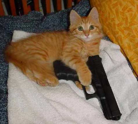 RD_Molon_Labe