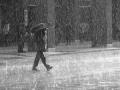 Rainman