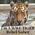 RebelSaber