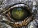 RobertMillar