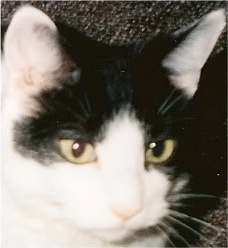 Ruthie