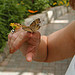 Shellbell
