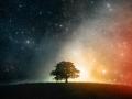 Starshine19761