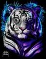 TigerMan