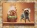 TrueLoveDesigns