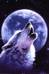 WOLF26763