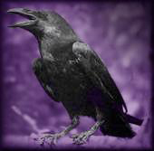 Wiccan