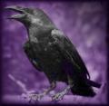 Wiccan