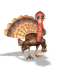 Wild_Turkey_Blog_Contest