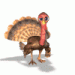 Wild_Turkey_Blog_Contest