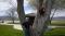 albanybill7