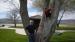 albanybill7