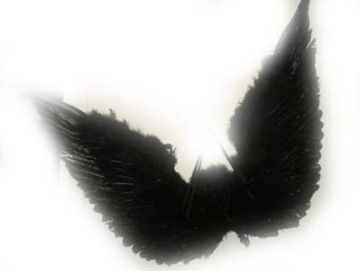 angeldevilsoul