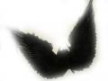 angeldevilsoul