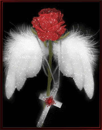 angelwings