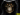 blackjack666