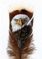 carolannekincaid_nativesp